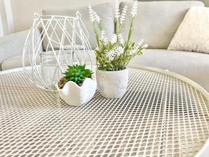 two white vases with plants on a wicker table at Arina & Julien Dieppe in Dieppe