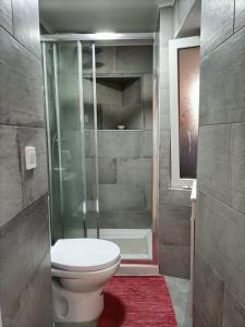 a bathroom with a toilet and a shower at NOW Bastidor Jovial in Lisbon