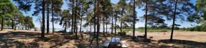 a bench on a beach with a view of the water at 2-Bedroom Royal Apartment with Own Sauna in Kotka in Kotka