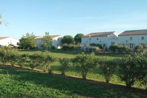 una fila de árboles en un campo con casas en JASSE CAMARGUAISE 424 - CLIM PISCINE FAMILLE GALLARGUES - TOP PROS SERVICESConciergerie en Gallargues-Le-Montueux