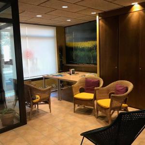 a meeting room with chairs and a table and a painting at HOTEL FAMILIAR BAGA in Bagá