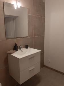 a bathroom with a white sink and a mirror at Appartement Grabels 2 à 4 personnes in Grabels