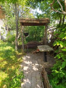 Aed väljaspool majutusasutust Guest House Shvelidze