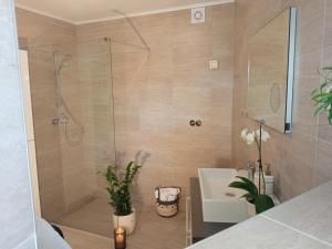 ein Badezimmer mit Dusche und Waschbecken in der Unterkunft Villa Nona Tamara with Astonishing Sea & Mountains View in Bribir + 24 Fotos