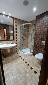 een badkamer met een douche, een toilet en een wastafel bij Apartment Privat ApartHotel Alpin fara mic dejun si fara acces SPA in Poiana Brasov