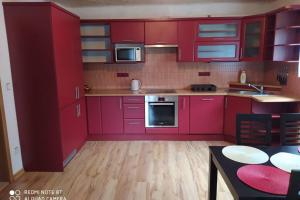uma cozinha com armários vermelhos e piso em madeira em Ubytování Pod statkem em Tichá