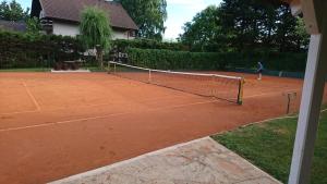 una persona che gioca a tennis su un campo da tennis di Sobe Janez a Križe