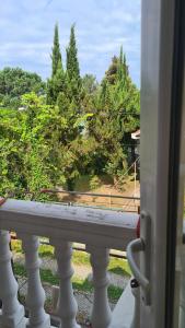 desde un balcón con vistas a los árboles en Gios Guest House, en Chakvi