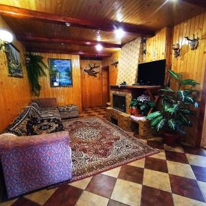 een woonkamer met een bank en een open haard bij Садиба" У Василя" in Volovets