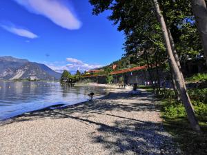 a beach with trees and a body of water at Residence Tre Ponti in Verbania