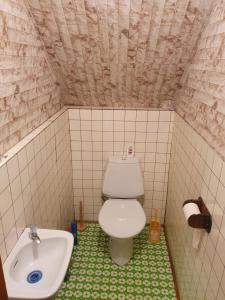 ein kleines Bad mit WC und Waschbecken in der Unterkunft Ubytování v rodinném domě in Hejnice