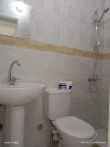 y baño con aseo y lavamanos. en Venus hotel luxor 日本人 大歓迎, en Luxor