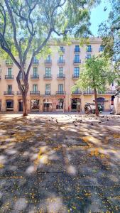 a large building with a tree in front of it at Hotel Sant Agustí in Barcelona