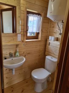 La petite salle de bains est pourvue de toilettes et d'un lavabo. dans l'établissement Siedlisko nad jeziorem Skarlińskim 5B, mazury, jezioro, domek, bania, à Kurzętnik