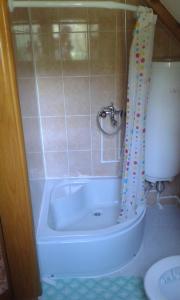 Koupelna v ubytování Brvnara Lug, apartman