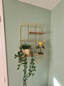 Fotografie z fotogalerie ubytování Evy's Garden house v destinaci Zandvoort