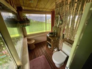 een kleine badkamer met een toilet en een raam bij Le p'tit nid de Gabriel in Les Touches-de-Périgny