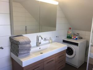 a bathroom with a sink and a washing machine at Apartment auf dem Bauernhof in Lucerne