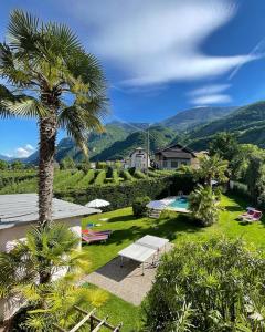 a garden with a palm tree and a swimming pool at Hotel Appartement Lahngut in Nalles