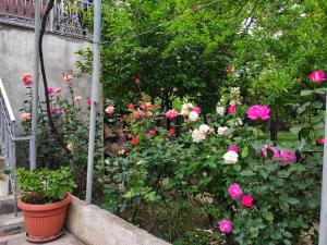 een tuin met roze en witte bloemen en een hek bij Guesthouse TTT-1 in Tbilisi City