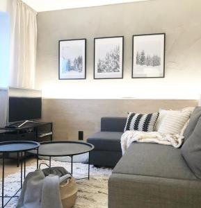 ein Wohnzimmer mit einem Sofa und einem TV in der Unterkunft Apartmán Strnadovy Boudy in Železná Ruda