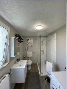 a bathroom with a toilet and a sink and a shower at Ferienwohnung Katzenberg in Bad Soden-Salmünster