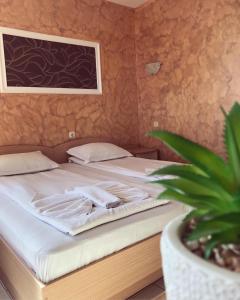 Una cama con sábanas blancas y una planta en una habitación en Guest House Val and Kate, en Sveti Vlas