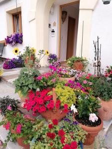 Une bande de fleurs en pot en face d'un bâtiment dans l'établissement Ferienwohnung Spitzmandl, à Innsbruck