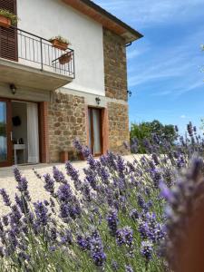 a house with purple flowers in front of it at Podere Belsogno-Camera rosmarino in Montalcino