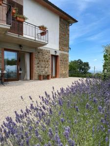 Zahrada ubytování Podere Belsogno-Camera rosmarino
