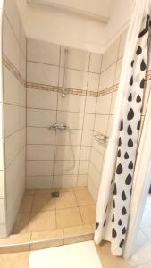 een badkamer met een douche en een douchegordijn bij Eozin Apartman in Pécs