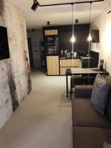Kuchyňa alebo kuchynka v ubytovaní Apartman VIP, with Free Garage Parking