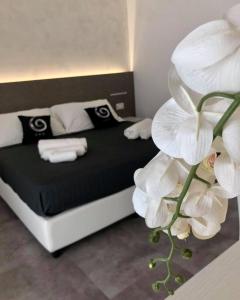 Sesto Senso Home