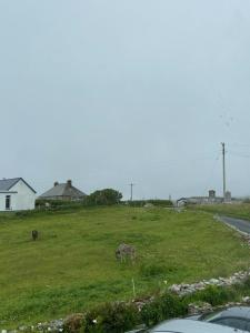 Loodusmaastik of the bed and breakfast lähedal
