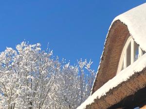 uma árvore coberta de neve ao lado de um edifício em Alte Kate mit Bau-& Zirkuswagen im Gartenidyll em Kasnevitz