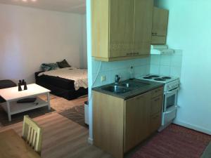 una cucina con lavandino e una cucina con letto di Mimmo 1 a Vantaa