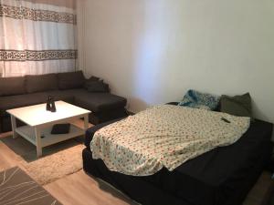 un soggiorno con un letto e un divano di Mimmo 1 a Vantaa