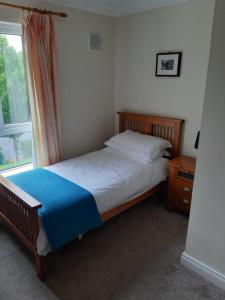 a bedroom with a bed with a blue blanket and a window at Mount Wolseley Holiday Home - Privately Owned in Tullow