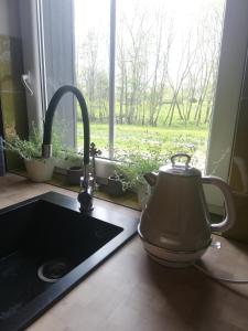 a kitchen sink with a tea kettle next to a window at Brīvupes in Balvi