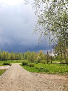 uma estrada de terra no meio de um campo em Brīvupes em Balvi