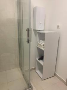 een douche met een glazen deur in de badkamer bij Artemis Apartment - nice, family friendly and cozy in Skopje