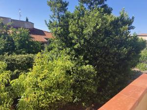 A garden outside Charming apartment Menfi sea view