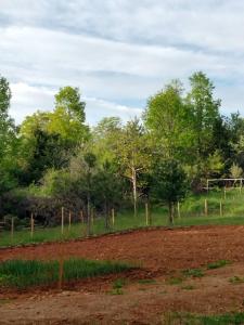 Gallery image of Pine dream in Ohrid