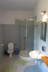 La salle de bains est pourvue d'une douche, de toilettes et d'un lavabo. dans l'établissement Leśny Dworek, 