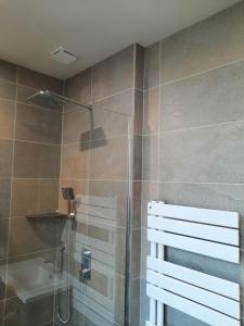 a shower with a glass door in a bathroom at Auberge du Raddon in Raddon-et-Chapendu +34 photos