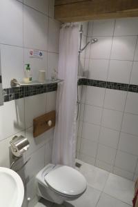 a bathroom with a shower with a toilet and a sink at Sérénité Verte à La Tuilerie Accommodation in La Bazeuge +22 photos
