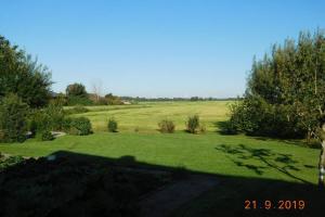 una vista de un campo de césped verde en Ferienwohnung Zwischen Eider u. Elbe, en Eddelak
