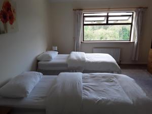 3 camas en una habitación con ventana en Mary’s Cottage, en Sneem