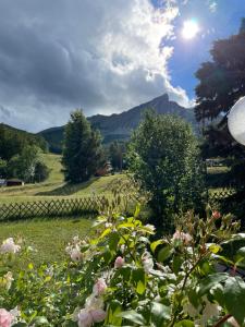 a field of flowers with mountains in the background at Maison L'Aiguille - chambres hôtes & 2 appartements indépendant in Laye