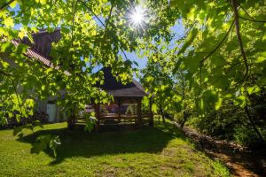Zahrada ubytování SOVA Hotel&Restaurant